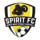 Logo NWS Spirit (W)