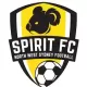 Logo Football NSW Institute (w)